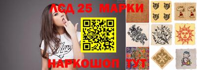индика Гусь-Хрустальный