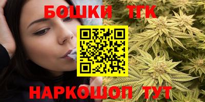 индика Гусь-Хрустальный