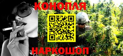 индика Гусь-Хрустальный