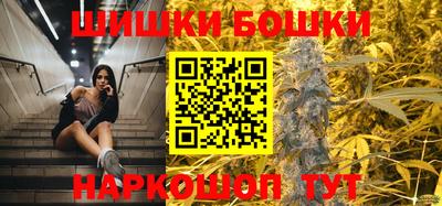 индика Гусь-Хрустальный