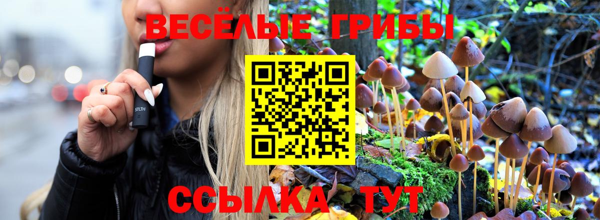 хочу наркоту  Вход с VPN  Михайловка  Галлюциногенные грибы Magic Shrooms 